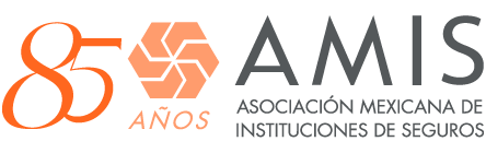 AMIS_Logo85Aniv_Color